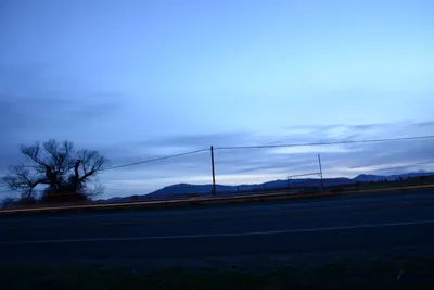 DSC_1134 (Large).JPG